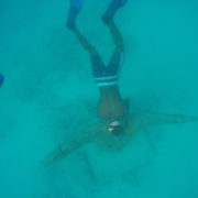 snorkelling in Cape Verde Sal